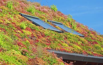 Marks Corner living roof systems